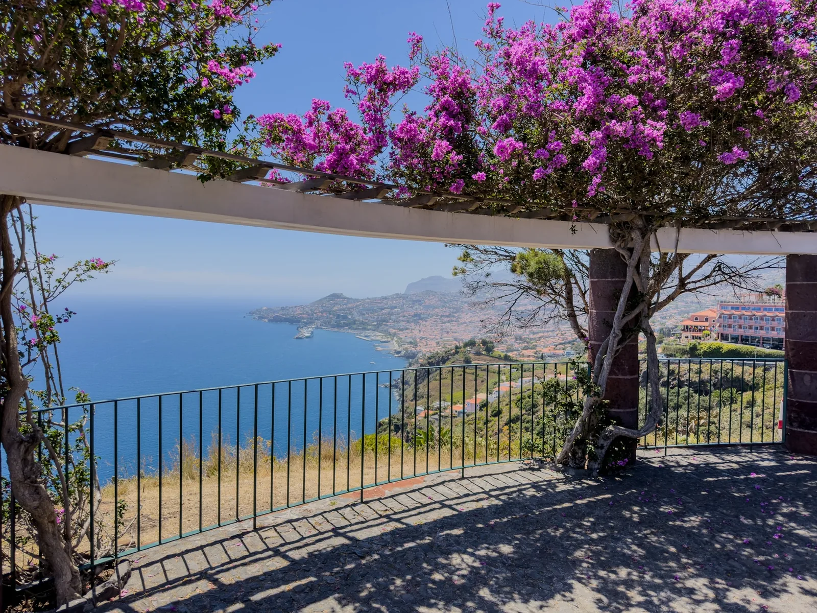 Funchal City and viewpoints private Tuk-Tuk tour in Madeira