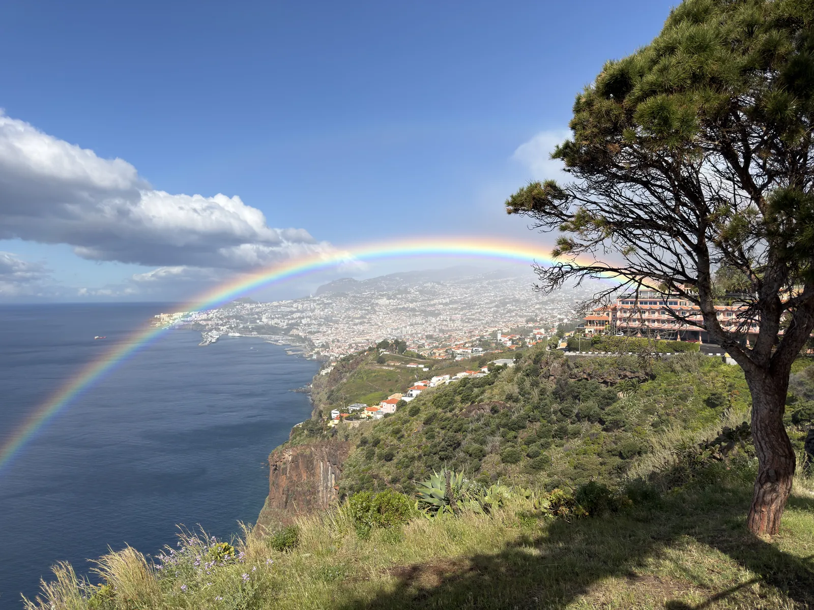 Full Experience private tour in Madeira